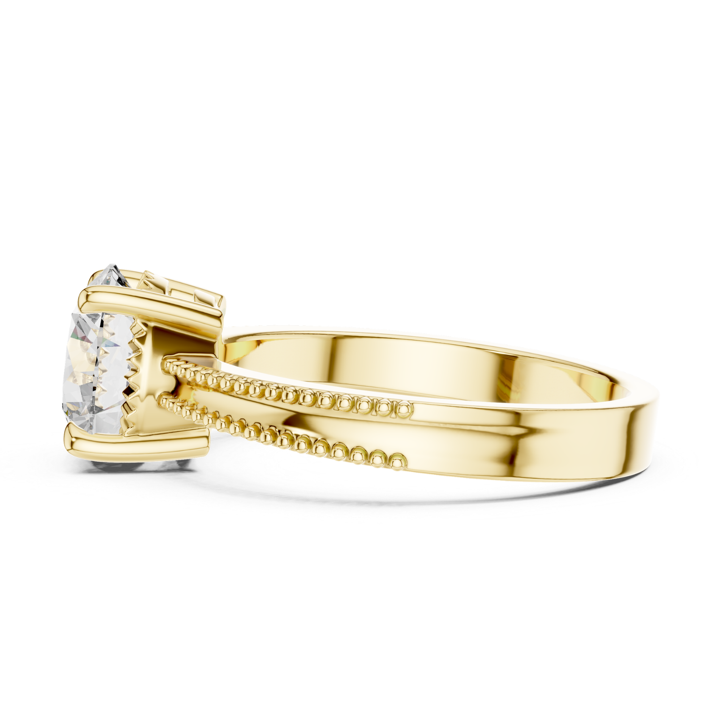 Round Diamond Double Edge Band Ring | Double the Brilliance