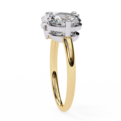 Eternal Duo Diamond Ring in Yellow Gold