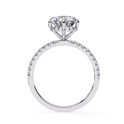 Elegant white gold ring
Diamond ring in white gold
Gold ring with diamond
Classic white gold ring
Glittering white gold ring
Solitaire diamond ring
White gold ring with diamonds
Round diamond gold ring
Diamond ring in white gold
Beautiful white gold ring